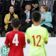 探索2026年世界杯美加墨草地的科学奇迹